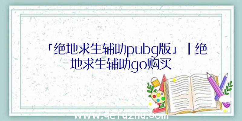 「绝地求生辅助pubg版」|绝地求生辅助go购买